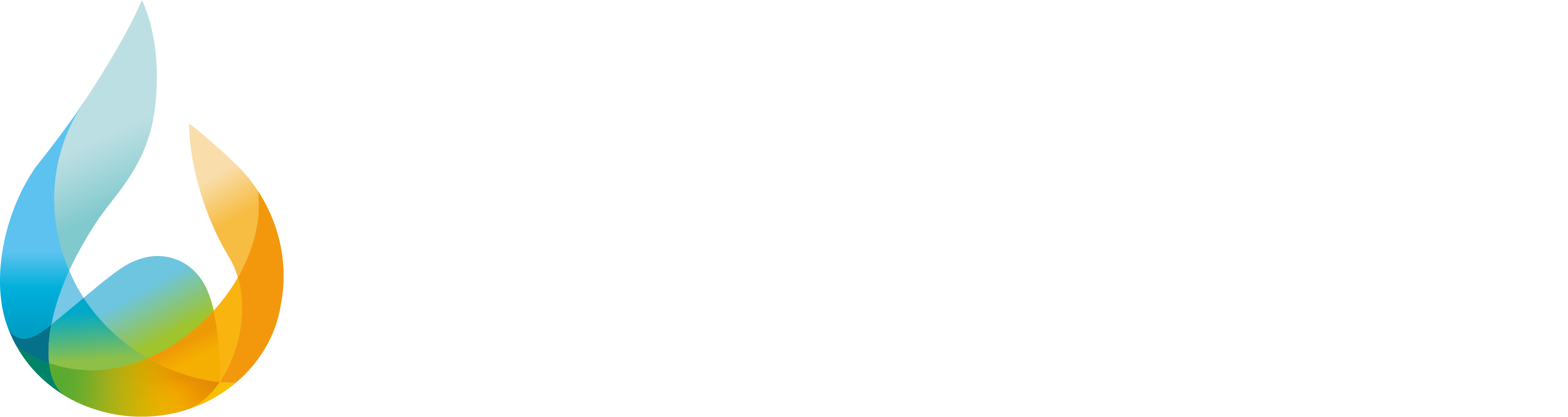 Codyeco